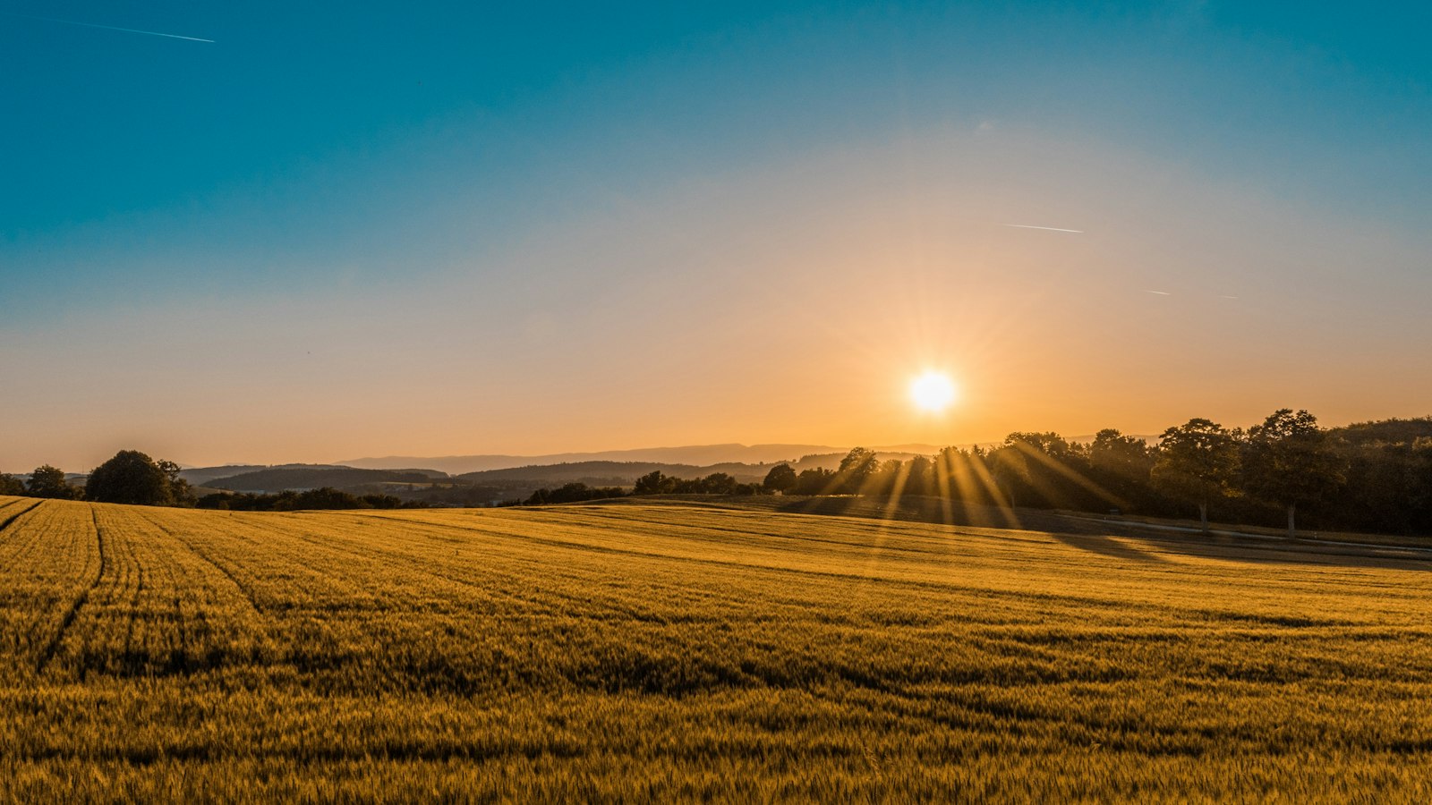 Golden sunrise over an open field